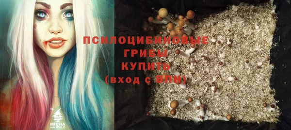 каннабис Аркадак