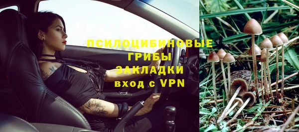 дмт Арсеньев